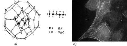 Михаил Кутушов - Зеркальные болезни. Рак, диабет, шизофрения, аллергия