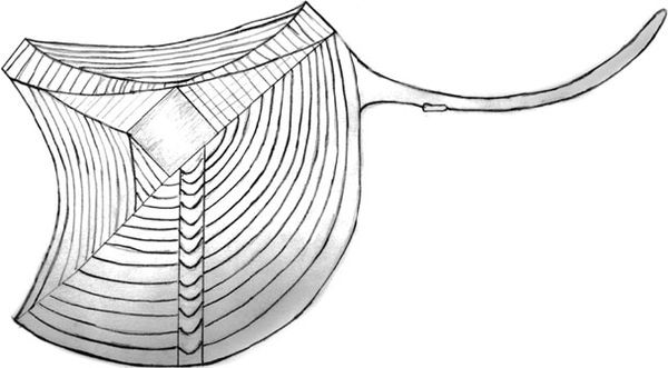Эрнст Мулдашев - Матрица жизни на Земле