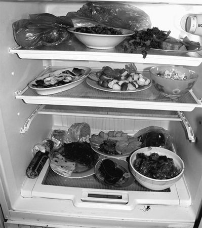 Эрнст Мулдашев - Матрица жизни на Земле