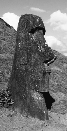 Эрнст Мулдашев - Матрица жизни на Земле