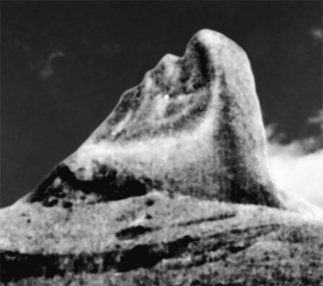 Эрнст Мулдашев - Матрица жизни на Земле