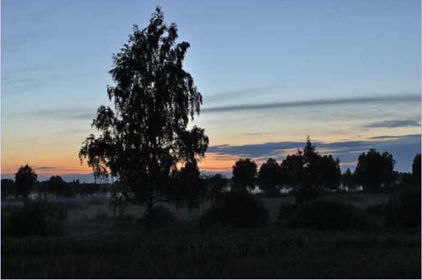 Олег Ермаков - Покинутые или Безумцы