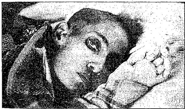 Клаус Вернер, Ганс Вайс - Черная книга корпораций