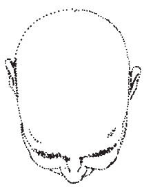 Наоми Тикл - Лицо - зеркало души. Физиогномика для всех