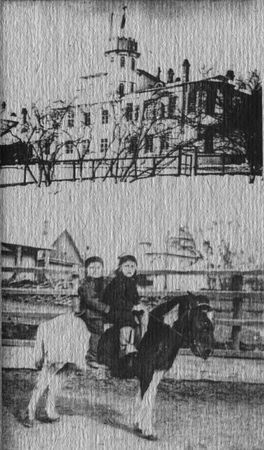 Юрий Янковский - Полвека охоты на тигров