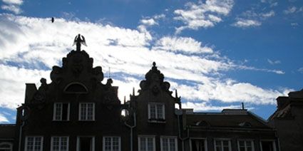 Алексей Петров - Роман с Польшей