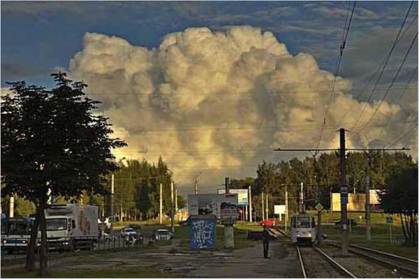 Олег Ермаков - Покинутые или Безумцы
