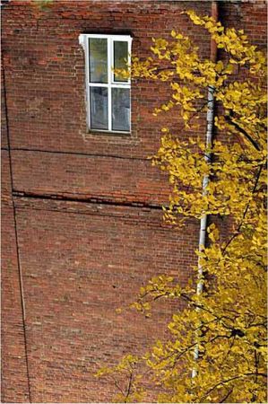 Олег Ермаков - Покинутые или Безумцы