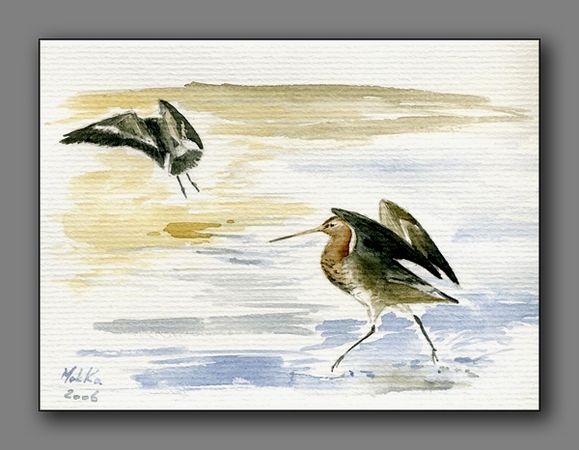 Алексей Петров - Роман с Польшей