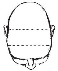 Наоми Тикл - Лицо - зеркало души. Физиогномика для всех