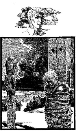 Эдуард Кондратов - Птица войны. Повесть о маори