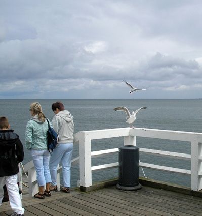 Алексей Петров - Роман с Польшей