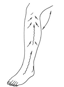 Елена Новиченкова - Омоложение без подтяжек за 30 дней