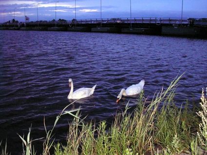 Алексей Петров - Роман с Польшей