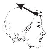 Наоми Тикл - Лицо - зеркало души. Физиогномика для всех