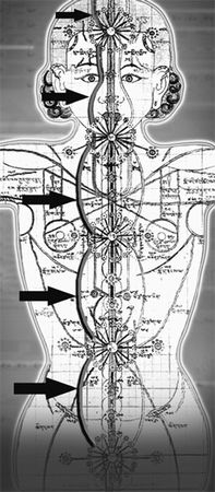Эрнст Мулдашев - Матрица жизни на Земле