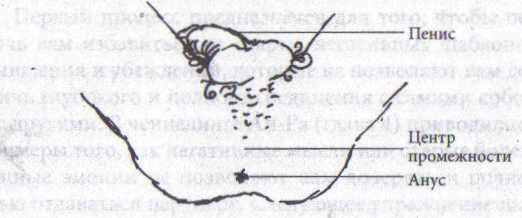 Амора Гуань-Инь - Плеядеанская Тантра: Пробуждение энергии Ба