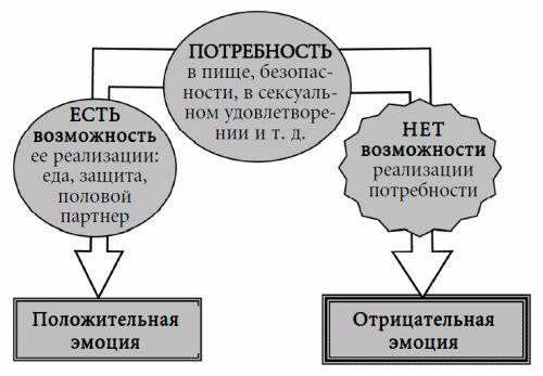 Андрей Курпатов - 3 главных открытия психологии. Как управлять собой и своей жизнью