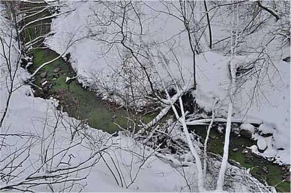 Олег Ермаков - Покинутые или Безумцы