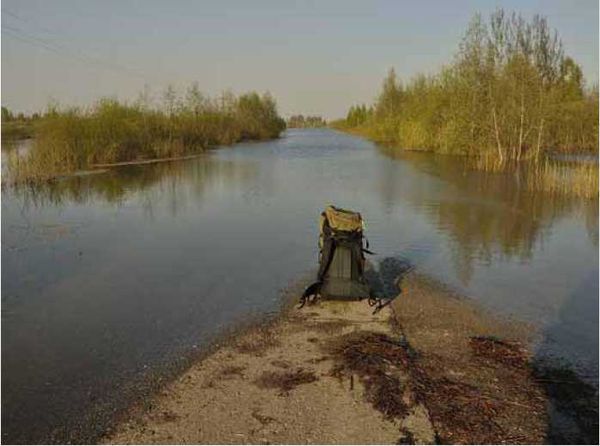 Олег Ермаков - Покинутые или Безумцы