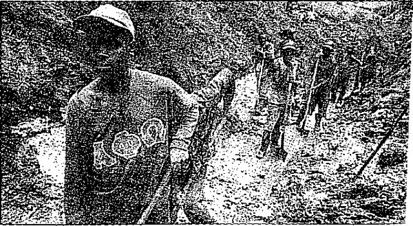 Клаус Вернер, Ганс Вайс - Черная книга корпораций