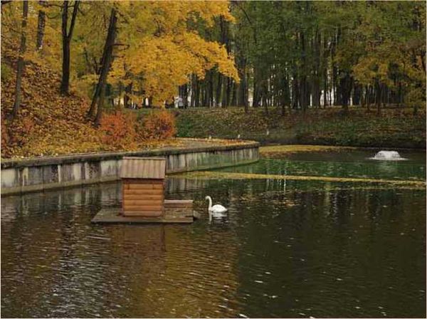 Олег Ермаков - Покинутые или Безумцы