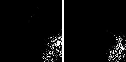 Михаил Кутушов - Зеркальные болезни. Рак, диабет, шизофрения, аллергия