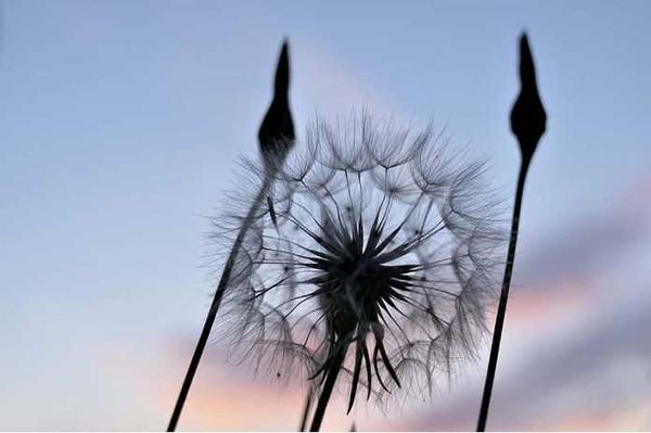 Олег Ермаков - Покинутые или Безумцы