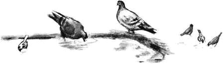 У кольца нет конца