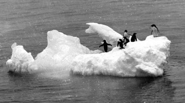 Эрнест Генри Шеклтон - В сердце Антарктики