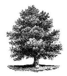 Н. Фомина - Афоризмы. Мужчина и женщина