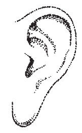 Наоми Тикл - Лицо - зеркало души. Физиогномика для всех