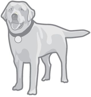 Питер Арнольд - 100 забавных игр для семейных праздников