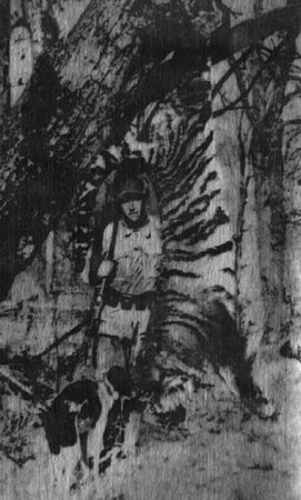 Юрий Янковский - Полвека охоты на тигров