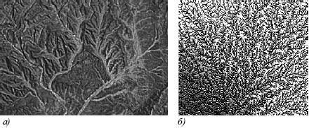 Михаил Кутушов - Зеркальные болезни. Рак, диабет, шизофрения, аллергия