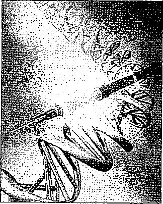 Клаус Вернер, Ганс Вайс - Черная книга корпораций