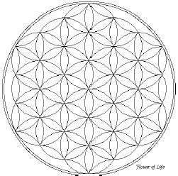 Михаил Кутушов - Зеркальные болезни. Рак, диабет, шизофрения, аллергия