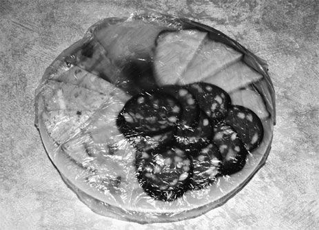 Эрнст Мулдашев - Матрица жизни на Земле