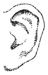 Наоми Тикл - Лицо - зеркало души. Физиогномика для всех