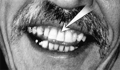 Эрнст Мулдашев - Матрица жизни на Земле