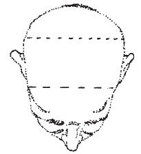 Наоми Тикл - Лицо - зеркало души. Физиогномика для всех