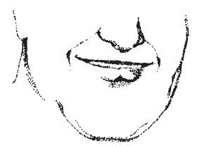 Наоми Тикл - Лицо - зеркало души. Физиогномика для всех