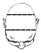 Наоми Тикл - Лицо - зеркало души. Физиогномика для всех