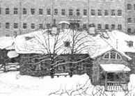 ГРАВЮРА НА ДЕРЕВЕ