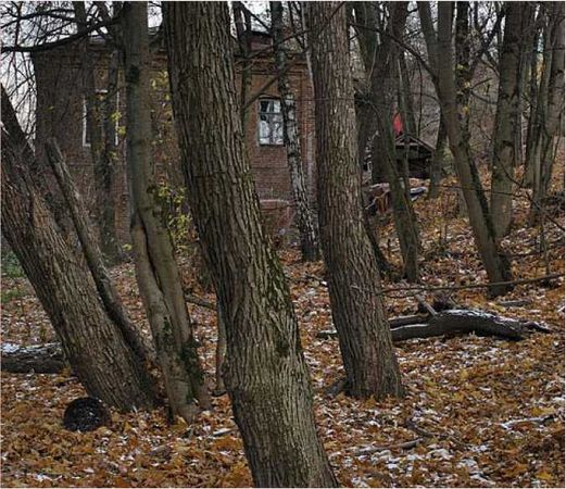 Олег Ермаков - Покинутые или Безумцы