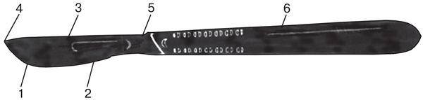 Современные хирургические инструменты