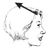 Наоми Тикл - Лицо - зеркало души. Физиогномика для всех