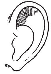 Наоми Тикл - Лицо - зеркало души. Физиогномика для всех