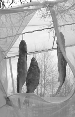 Александр Пышков, Сергей Смирнов - Правильное копчение и вяление рыбы