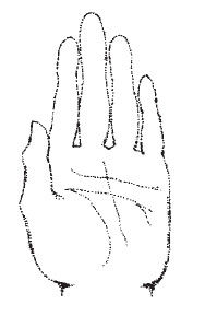 Наоми Тикл - Лицо - зеркало души. Физиогномика для всех